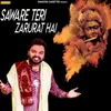 About Saware Teri Zarurat Hai Song